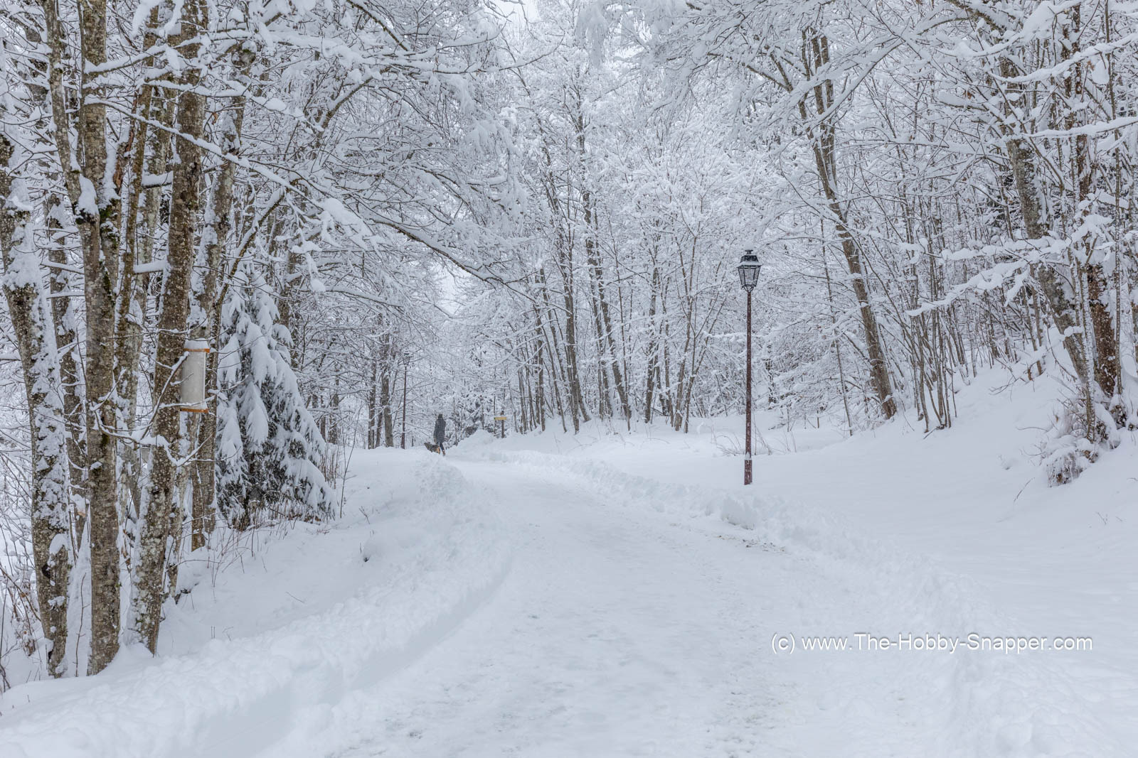 18 inches of snow overnight  