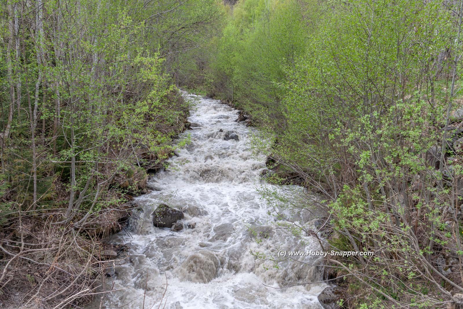 A good flow on Nant Rouge  